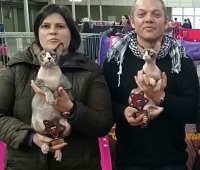 Exposición Valladolid 2014