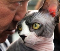 Exposición Valladolid 2014