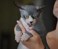 Exposición Valencia 2014