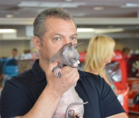 Exposición Valencia 2014