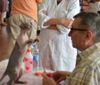 Exposición Valencia 2014