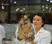 Exposición Madrid 2014