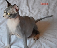 MalinkaS Lennon