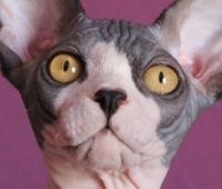 MalinkaS Lennon